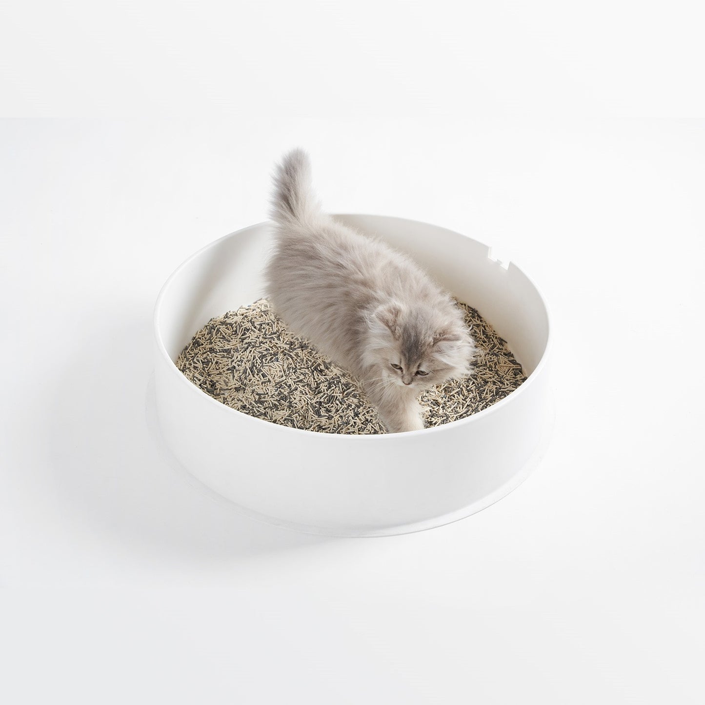 3-in-1 Blend Cat Litter (Tofu, Spherical Bentonite Clay, Activated Carbon Infused Tofu)