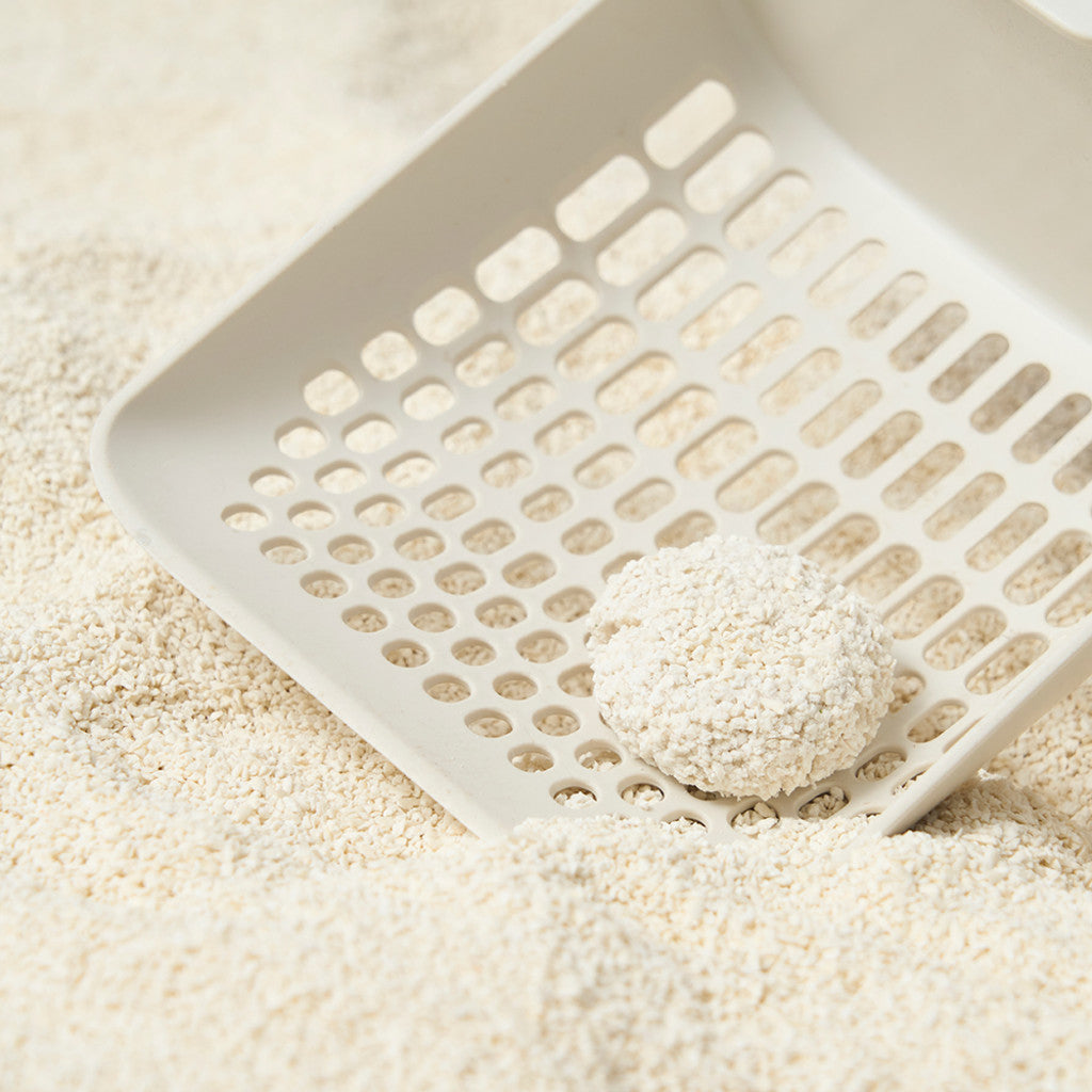 1 Pack Tofu Sand