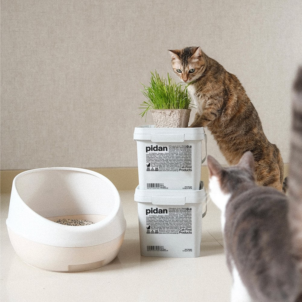 3-in-1 Blend Cat Litter (Tofu, Spherical Bentonite Clay, Activated Carbon Infused Tofu)